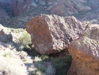 TONTO National Forest 12