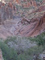 TONTO National Forest 17