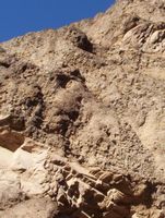 TONTO National Forest 21