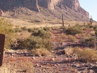 TONTO National Forest 24