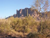 TONTO National Forest 26