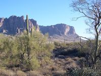 TONTO National Forest 27