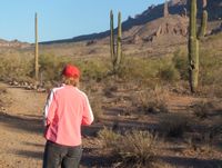 TONTO National Forest 29