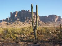 TONTO National Forest 33