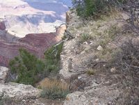 Grand Canyon 10